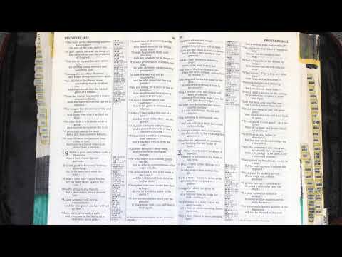 Holy Bible - Proverbs 19 : 1 - 29