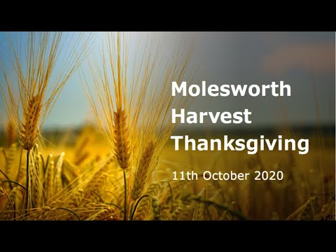 The Steadfast Love of the Lord - Lamentations 3:19-36  (11-10-20)