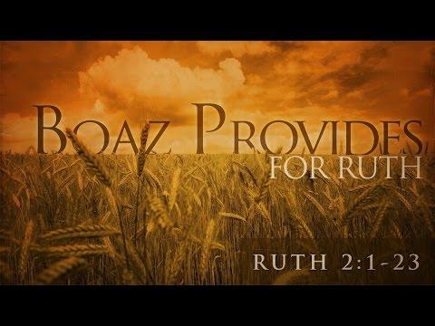 Boaz Provides for Ruth (Ruth 2:1-23)