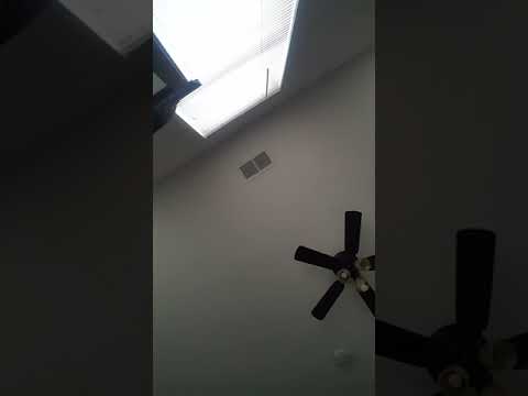 Psalm 24: 1-10 & Revelation 2: 1-7