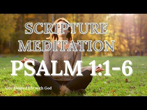 #70 - Scripture Meditation (Psalm 1:1-6)  l  Meditation Music  l  Prayer