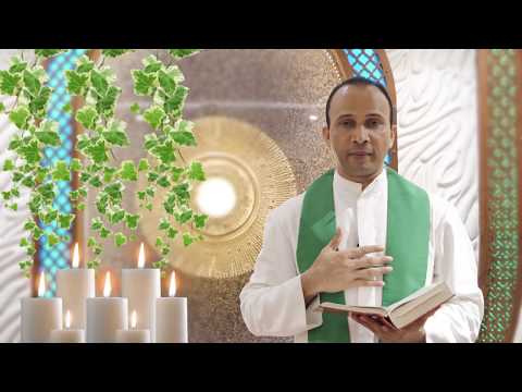 A short reflection on the Gospel of Matthew 10:26-33 (Twelfth Sunday Ordinary Time, 21st June 2020)