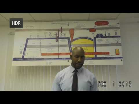 1 Corinthians 15:24-25