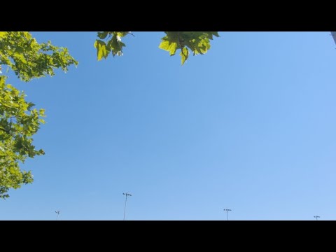 Re: Who Is The King ???? In Deut.28:36???????