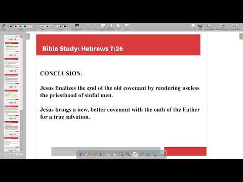 Bible Study Livestream: Hebrews 7:27-28