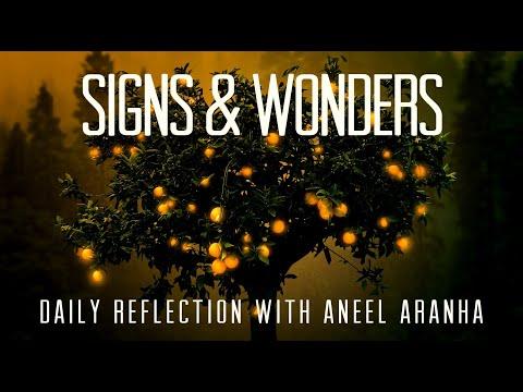 Daily Reflection with Aneel Aranha | John 14:7-14 | May 9, 2020