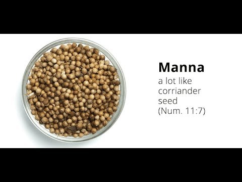 John 6:25-59 The Bread of Life & The Sharp Words of Jesus