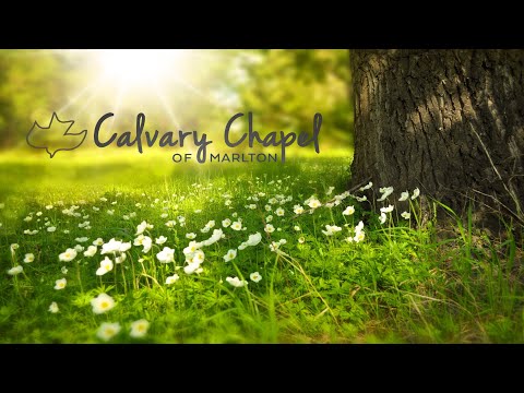 Wednesday Service:  Exodus 27:20 - 28:4