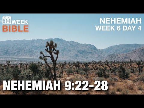 The Wilderness | Nehemiah 9:22-28 | Week 6 Day 4 Study of Nehemiah