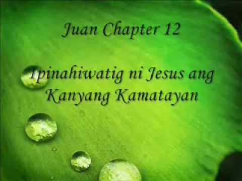 Patnubay Bible Study John 12:27-36 Part One