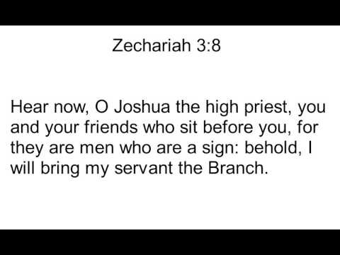38 Zechariah 3:8