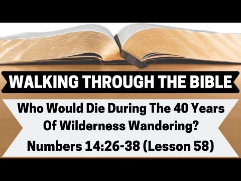 Who Would Die During the 40 Years of Wilderness Wandering? [Numbers 14:26-38][Lesson 58][WTTB]