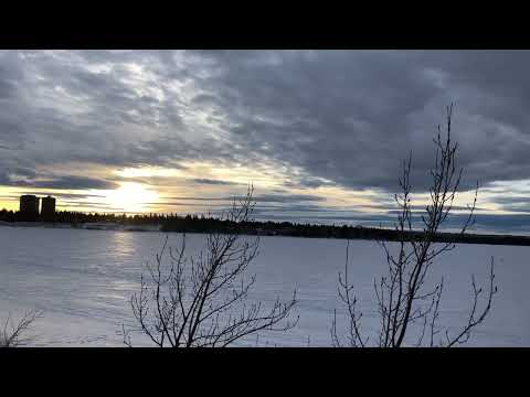 Psalm 113:3 (Shorts)