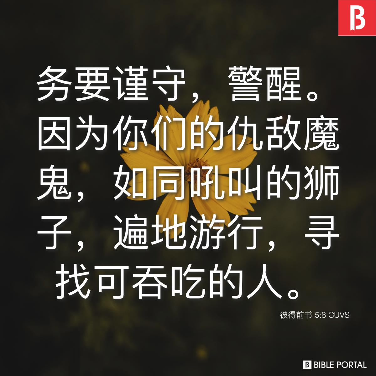 彼得前书 5:8 CUVS