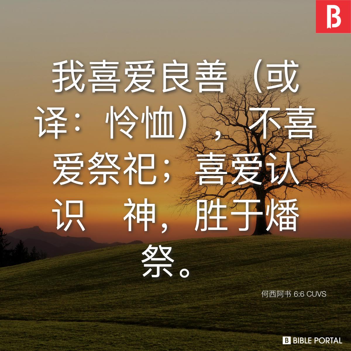 何西阿书 6:6 CUVS