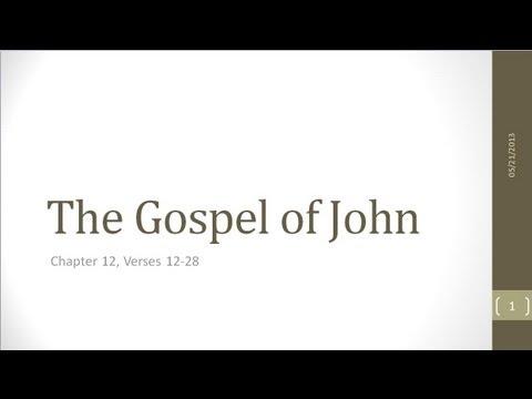 John 12:12-28 (part of the continuing weekly verse-by-verse Bible study at Tokyo Baptist Church)