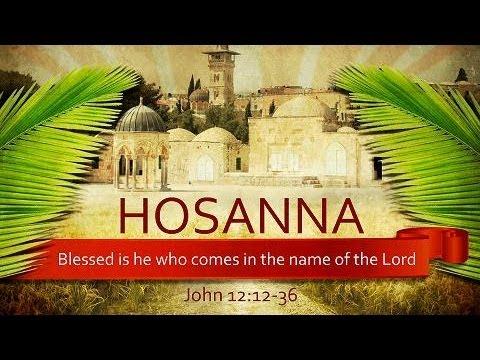 Hosanna (John 12:12-36)