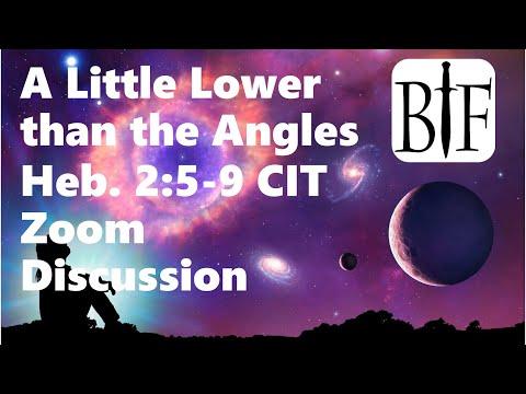 A Little Lower Than The Angels | Zoom Discussion | Hebrews 2:5-9 | FSI-IMW-005