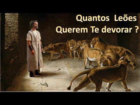 Quantos Leões querem Te devorar -  Daniel 6: 22 ( Daniel na cova dos Leões)