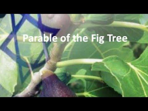 Matthew 24:32-35 Parable Of The Fig Tree, Proof Jesus Is Coming Soon.