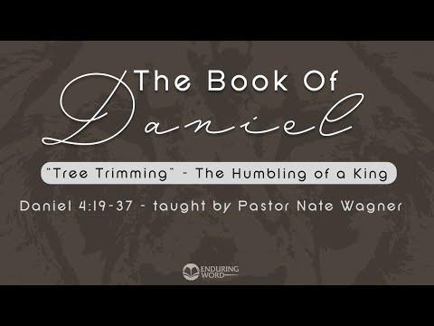 Tree Trimming, The Humbling of a King - Daniel 4:19-37