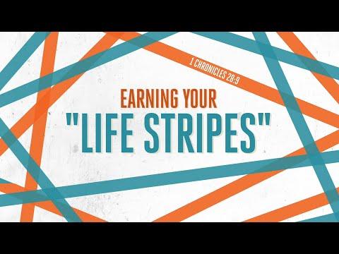 Earning Your "Life Stripes" | 1 Chronicles 28:9
