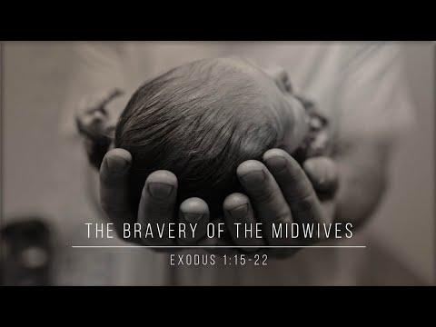 The Bravery of the Midwives // Exodus 1:15-22