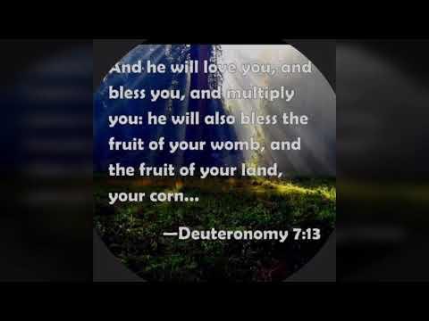 He will also bless the fruit of your womb(Deut 7:13) Thought for the day, Oct 17, 2018