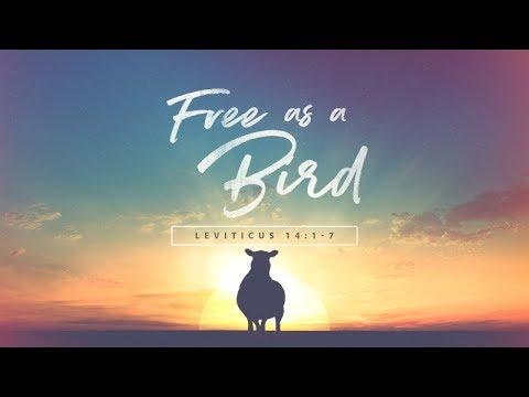 Leviticus 14:1-7 | Free as a Bird | Rich Jones