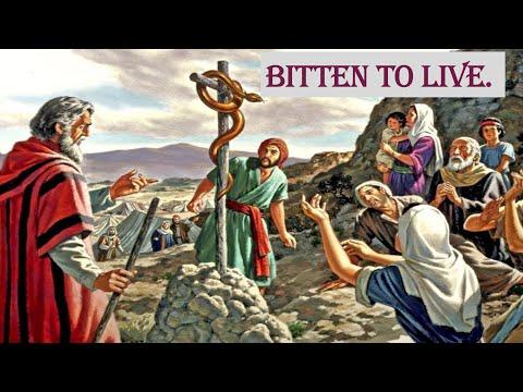 Jesus Chosen Foundation | Sermon Topic : Bitten to Live | Numbers 21:4-9 | Man Of God - Enoch Rajan