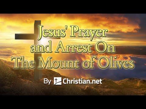 Luke 22:39 - 62: Jesus' Prayer and Arrest On The Mount of Olives | Bible Stories