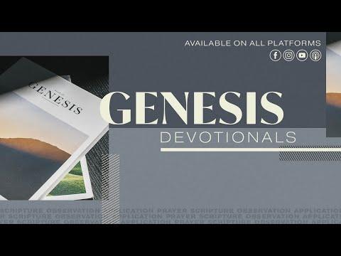 Genesis 42:6-9  |  Daily Devotionals
