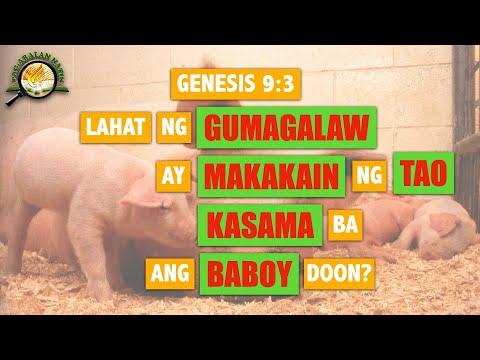 AYON SA GENESIS 9:3 LAHAT NG GUMAGALAW AY MAKAKAIN NG TAO, KASAMA BA ANG BABOY DOON? | MAY 21, 2021.