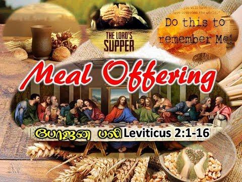 MEAL OFFERING Lev 2  : 1 - 16