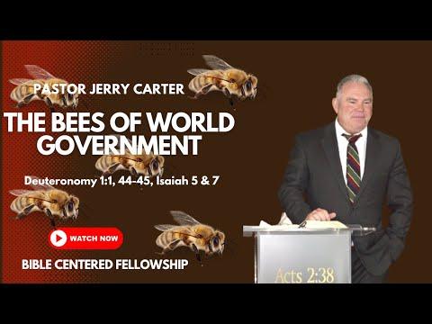 The Bees of World Government: Deuteronomy 1:1,44-46, Isaiah 5 & 7