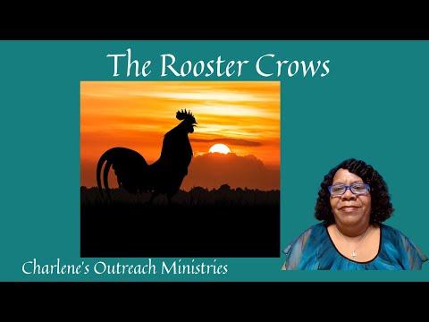 The Rooster Crows. John 18:15-27. Sunday's, Sunday School Bible Study.