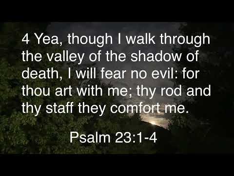 Come Follow Me; Aug 8-14; Psalm 22:1-4