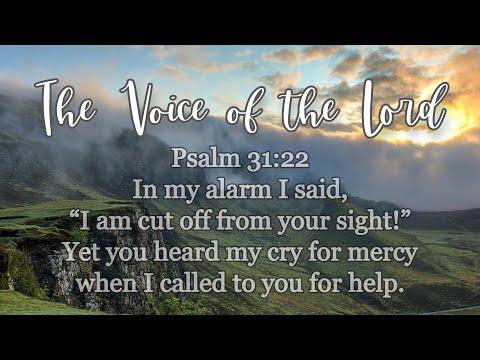 Psalm 31:22  The Voice of the Lord   February 12, 2021 by Pastor Teck Uy