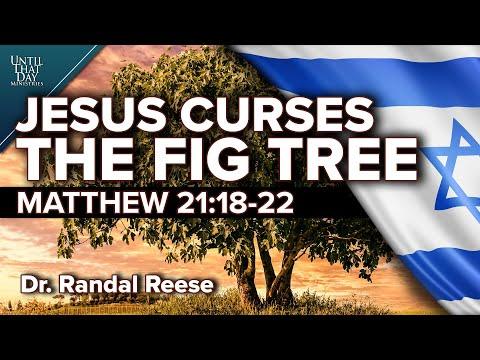 Jesus Curses the Fig Tree (Matthew 21:18-22) | Until That Day | Dr. Randal Reese