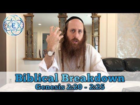 Biblical Breakdown with Rav Dror, Genesis 2:20 - 2:25