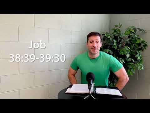 Job 38:39-39:30 | Midweek study of Job
