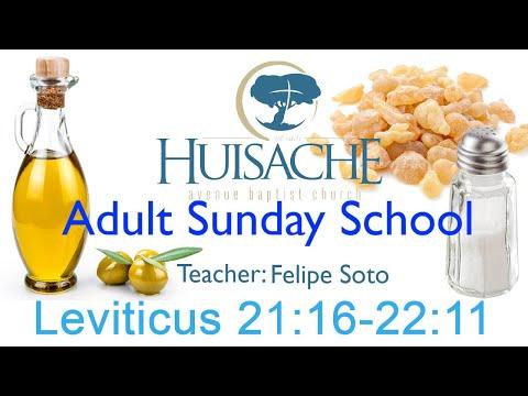 Leviticus lesson 30 | Felipe Soto | Leviticus 21:16-22:11
