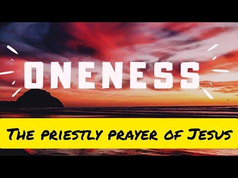 ONENESS - Sunday Homily: Sixth Sunday of Resurrection || John 17:20-26 || Rev. Fr. Kurian Panayalil