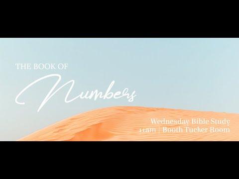 The Water of Meribah - Numbers 20:1-29