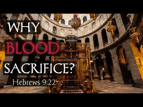 WHY BLOOD SACRIFICE ? Hebrews 9: 22 (Basic) with D Viewpoint Aris