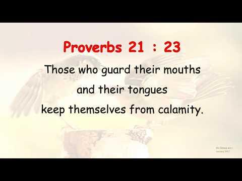 Proverbs 21 : 23 - Those who guard their mouths - w accompaniment (Scripture Memory Song)