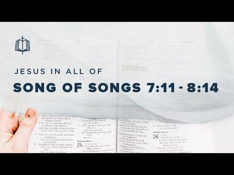 LOVE STRONGER THAN DEATH | Bible Study | Song of Songs 7:11-8:14