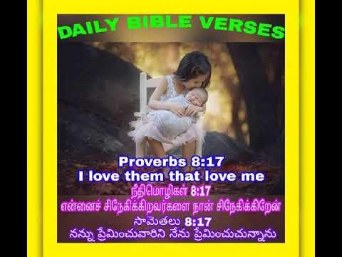 Daily Bible Verses   Proverbs 8:17