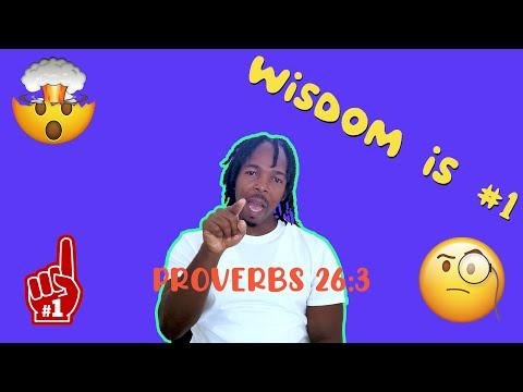 Wisdom - Proverbs 26:3
