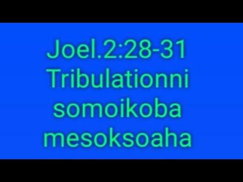 Joel 2:28-31